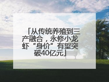 从传统养殖到三产融合，永修小龙虾“身价”有望突破40亿元