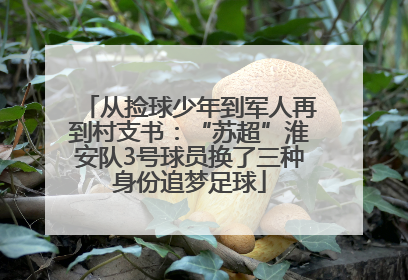 从捡球少年到军人再到村支书：“苏超”淮安队3号球员换了三种身份追梦足球