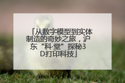 从数字模型到实体制造的奇妙之旅，沪东“科·堂”探秘3D打印科技