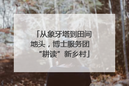 从象牙塔到田间地头，博士服务团“耕读”新乡村