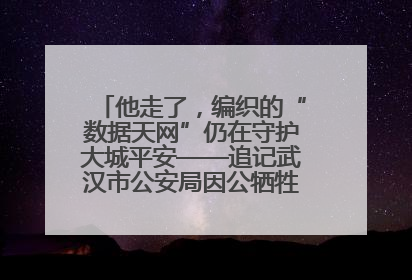他走了，编织的“数据天网”仍在守护大城平安——追记武汉市公安局因公牺牲民警万松