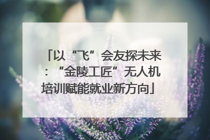 以“飞”会友探未来：“金陵工匠”无人机培训赋能就业新方向