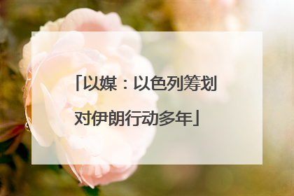 以媒：以色列筹划对伊朗行动多年