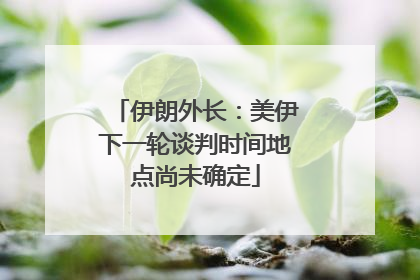 伊朗外长：美伊下一轮谈判时间地点尚未确定