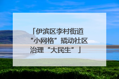 伊滨区李村街道 “小网格”撬动社区治理“大民生”