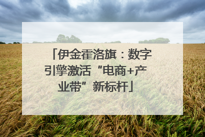 伊金霍洛旗：数字引擎激活“电商+产业带”新标杆