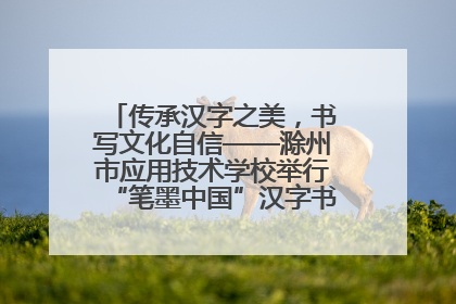 传承汉字之美，书写文化自信——滁州市应用技术学校举行“笔墨中国”汉字书写比赛表彰大会