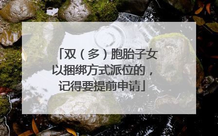 双（多）胞胎子女以捆绑方式派位的，记得要提前申请