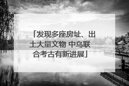 发现多座房址、出土大量文物 中乌联合考古有新进展
