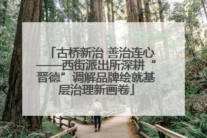 古桥新治 善治连心——西街派出所深耕“晋德”调解品牌绘就基层治理新画卷