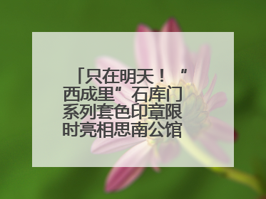 只在明天！“西成里”石库门系列套色印章限时亮相思南公馆，快来盖章吧