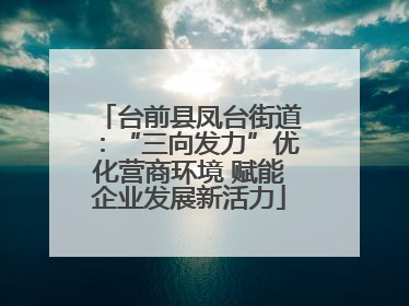 台前县凤台街道：“三向发力”优化营商环境 赋能企业发展新活力