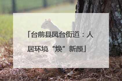 台前县凤台街道：人居环境“焕”新颜