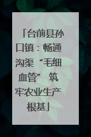 台前县孙口镇：畅通沟渠“毛细血管” 筑牢农业生产根基