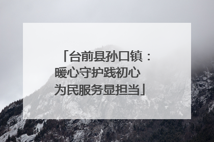 台前县孙口镇：暖心守护践初心 为民服务显担当