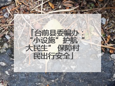 台前县委编办：“小设施”护航“大民生” 保障村民出行安全