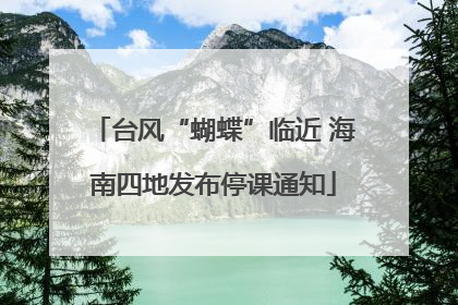 台风“蝴蝶”临近 海南四地发布停课通知