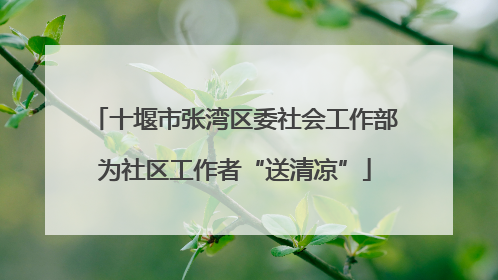 十堰市张湾区委社会工作部为社区工作者“送清凉”