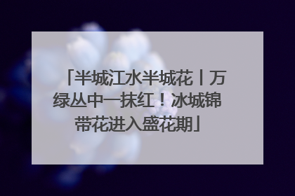 半城江水半城花丨万绿丛中一抹红！冰城锦带花进入盛花期