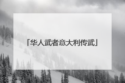 华人武者意大利传武