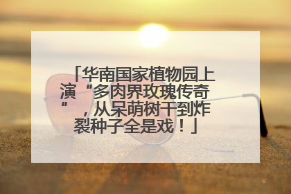 华南国家植物园上演“多肉界玫瑰传奇”，从呆萌树干到炸裂种子全是戏！