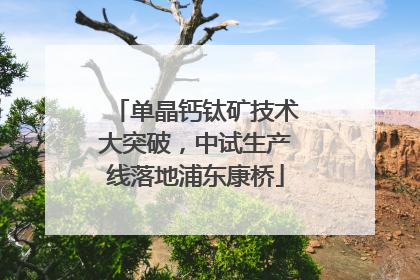 单晶钙钛矿技术大突破，中试生产线落地浦东康桥