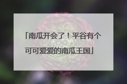 南瓜开会了！平谷有个可可爱爱的南瓜王国