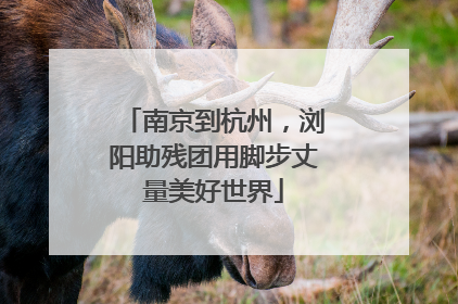 南京到杭州，浏阳助残团用脚步丈量美好世界
