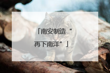 南安制造“再下南洋”