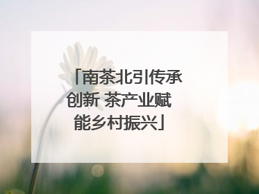 南茶北引传承创新 茶产业赋能乡村振兴