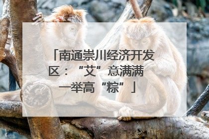 南通崇川经济开发区：“艾”意满满 一举高“粽”