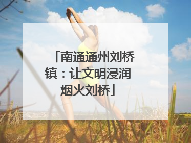 南通通州刘桥镇：让文明浸润烟火刘桥