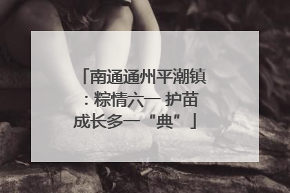 南通通州平潮镇：粽情六一 护苗成长多一“典”