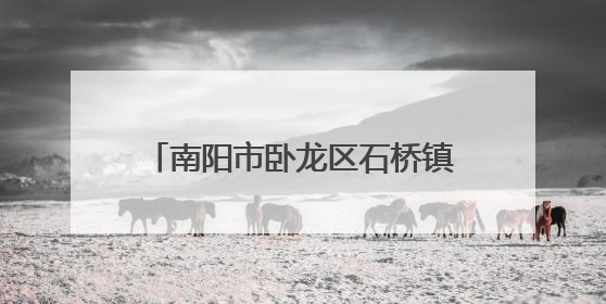 南阳市卧龙区石桥镇：迅速响应强降雨 连夜疏通河道护农田