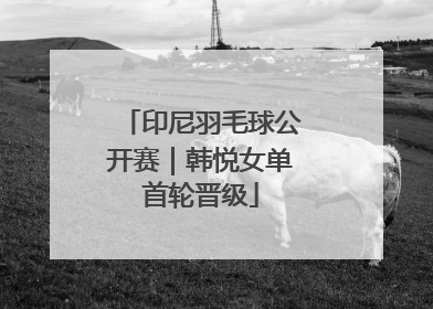 印尼羽毛球公开赛｜韩悦女单首轮晋级