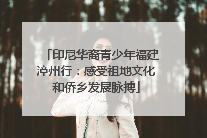 印尼华裔青少年福建漳州行：感受祖地文化和侨乡发展脉搏