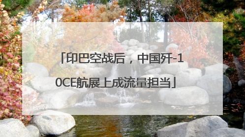印巴空战后，中国歼-10CE航展上成流量担当