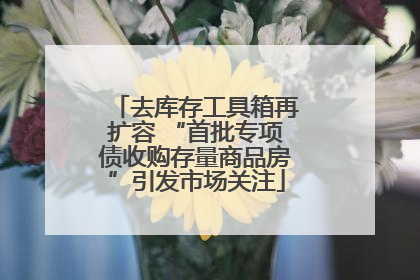 去库存工具箱再扩容 “首批专项债收购存量商品房”引发市场关注