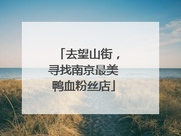 去望山街，寻找南京最美鸭血粉丝店