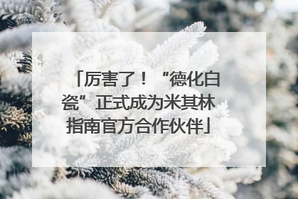 厉害了！“德化白瓷”正式成为米其林指南官方合作伙伴