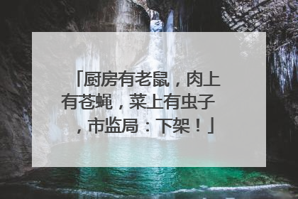 厨房有老鼠，肉上有苍蝇，菜上有虫子，市监局：下架！
