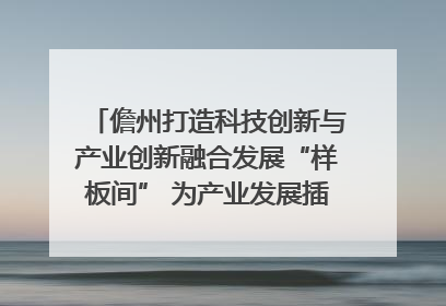 儋州打造科技创新与产业创新融合发展“样板间” 为产业发展插上科技“翅膀”