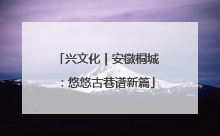 兴文化｜安徽桐城：悠悠古巷谱新篇