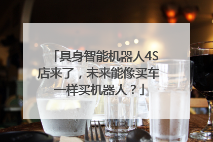 具身智能机器人4S店来了，未来能像买车一样买机器人？