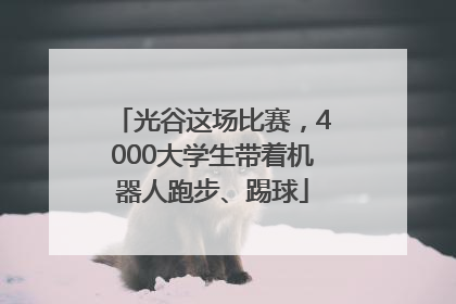 光谷这场比赛，4000大学生带着机器人跑步、踢球