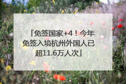 免签国家+4！今年免签入境杭州外国人已超11.6万人次