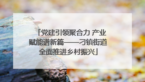 党建引领聚合力 产业赋能谱新篇——刁镇街道全面推进乡村振兴
