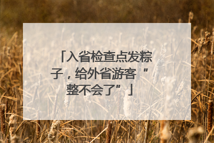 入省检查点发粽子，给外省游客“整不会了”