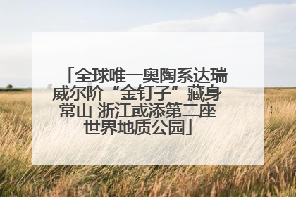 全球唯一奥陶系达瑞威尔阶“金钉子”藏身常山 浙江或添第二座世界地质公园