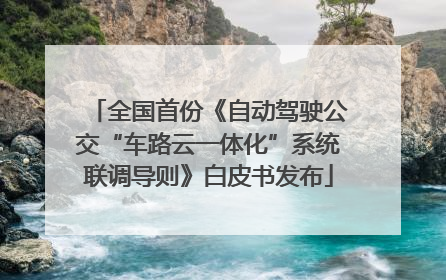 全国首份《自动驾驶公交“车路云一体化”系统联调导则》白皮书发布